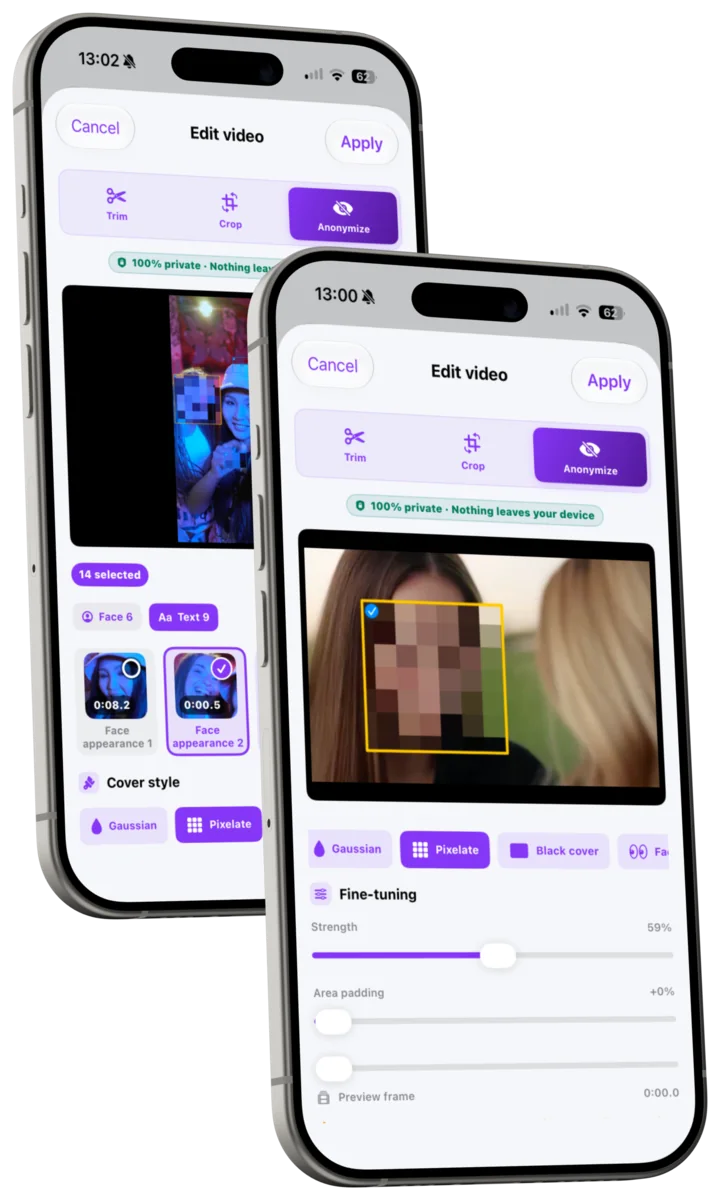 Privacy Cleaner reviewing face and visible-text candidates